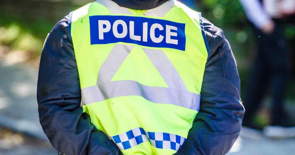 close-up image of the back of a police officer